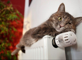 У Славутичі завершують опалювальний сезон: з 31 березня відключать і гарячу воду