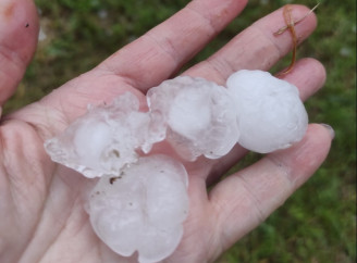 «Побило все»: град розміром з перепелине яйце пронісся біля Славутича