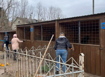 У Славутичі шукають волонтерів для допомоги притулку вже сьогодні