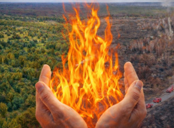 Пожежна небезпека у Чорнобилі зростає що загрожує лісам і тваринам заповідника