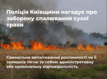 Поліція Київщини попередила про заборону спалювання трави
