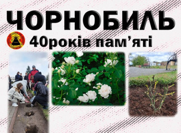 У Славутичі до 40-х роковин аварії на ЧАЕС висадили 40 кущів білих троянд