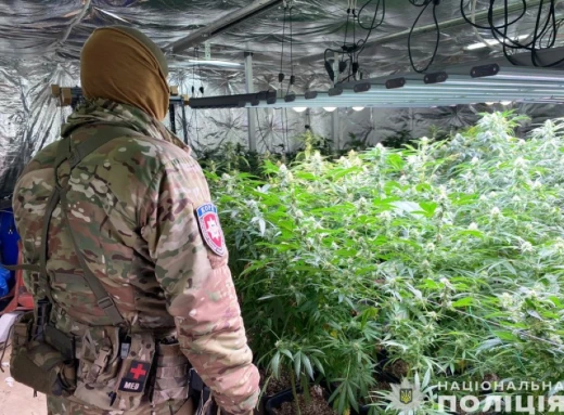 Боротьба з наркоторгівлею на Чернігівщині: Ліквідація великого виробництва з мільйонним прибутком фото