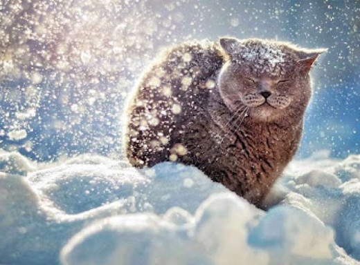 У грудні 2025 року в Україні набувають чинності нові правила для перевезень, соцвиплат, ВПО та субсидій фото