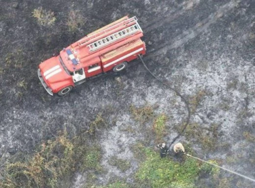 На Чернігівщині сталося 18 лісових пожеж: рятувальники закликають дотримуватися правил безпеки фото