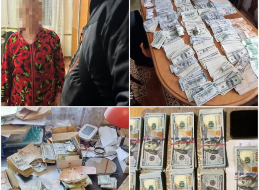 СБУ виявила понад 300 тисяч доларів під час обшуків у керівниці районної ВЛК на Дніпропетровщині фото