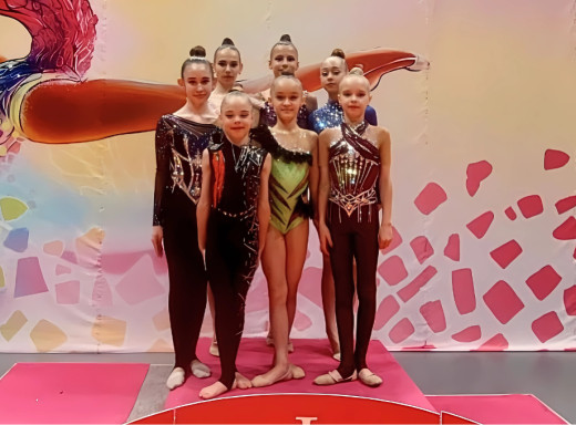 Гімнастки зі Славутича взяли участь у Чемпіонаті Київської області фото Гімнастки зі Славутича взяли участь у Чемпіонаті Київської області фото