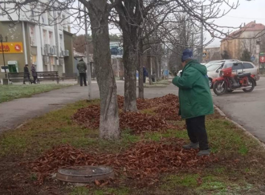 У Славутичі триває прибирання та вивезення опалого листя з міських територій фото