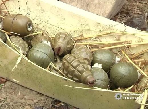 Вилучення арсеналу: поліція виявила схрон зброї на Чернігівщині фото