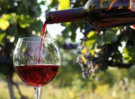 Вино і Здоров'я: Важливі Поради щодо Споживання фото