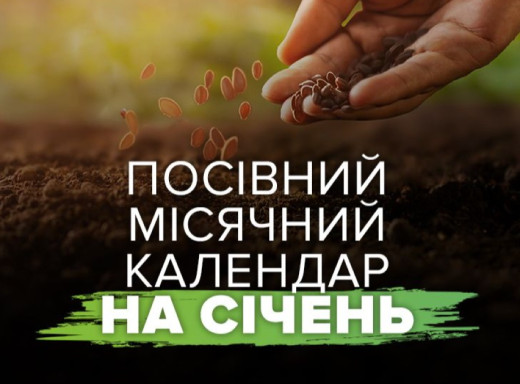 Що сіяти у січні та які дні вважають найвдалішими для посіву фото