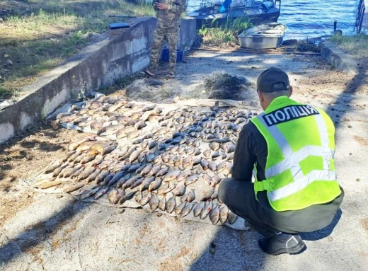 У Чернігівській області викрили браконьєра, який під час нересту наловив 74 кілограми риби фото
