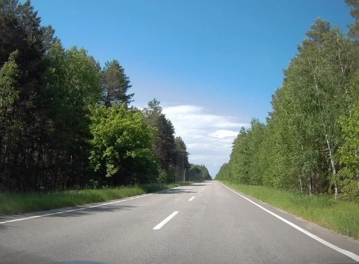На автодорозі Чернігів - Славутич зупинено водія з підробленим посвідченням фото