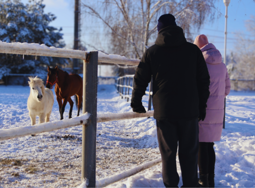 Як провести вихідні у Славутичі: катання верхи і казкові фото в засніженому лісі фото