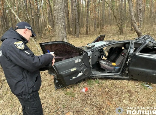 На Чернігівщині загинуло двоє людей через падіння дерева на автомобіль фото