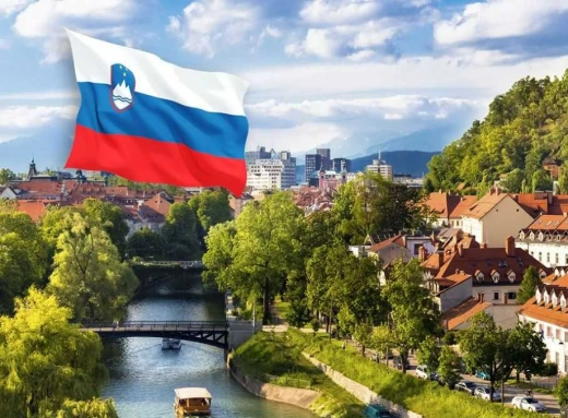 Словенія передала Україні військову техніку і нову партію БПЛА фото
