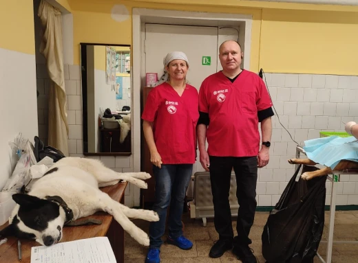 «Ми маємо робити це» - як ветеринари та Фонд «Чисте Майбутнє», попри війну, допомагають безпритульним хвостикам у Чорнобилі та Славутичі фото
