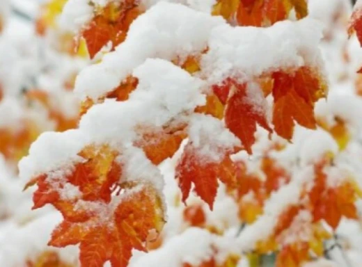 В Україну наближаються перші снігопади фото