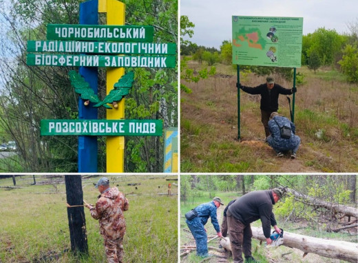 Фахівці Чорнобильського заповідника продовжують роботу над збереженням екосистеми фото Фахівці Чорнобильського заповідника продовжують роботу над збереженням екосистеми фото