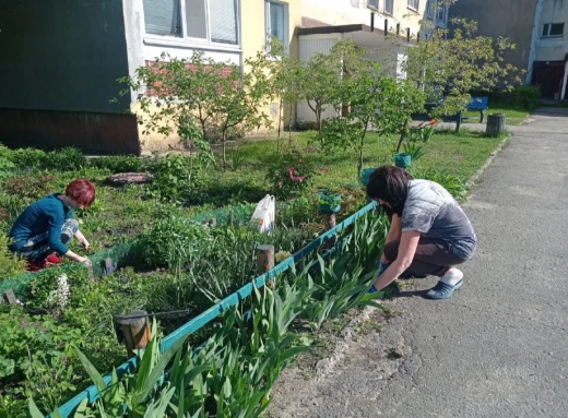 Славутичани створюють красу на своїх подвір’ях фото