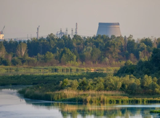 Несподівана зустріч у Чорнобильському заповіднику: Фотофакт фото