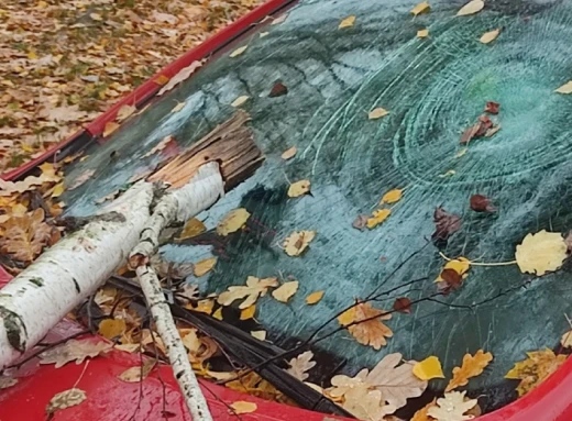 Штормове попередження у Славутичі - дерево впало на авто фото
