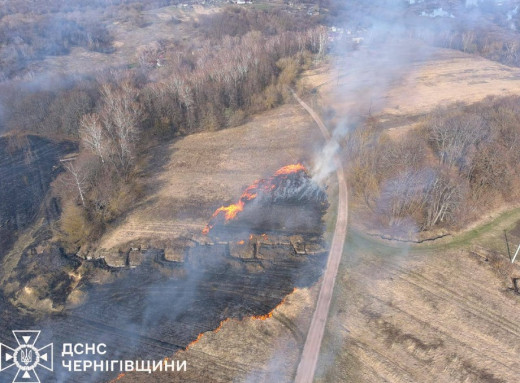 На Чернігівщині фіксують пожежі не лише через обстріли, а й через підпали сухостою фото На Чернігівщині фіксують пожежі не лише через обстріли, а й через підпали сухостою фото
