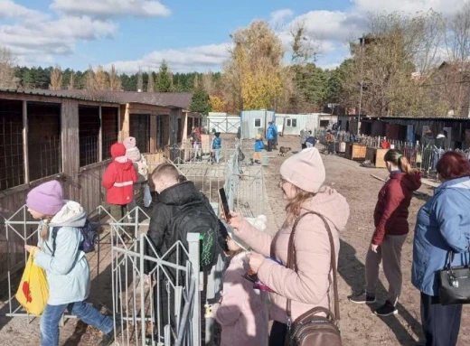 Любецькі ліцеїсти допомагають безпритульним тваринам Славутича (фото) фото