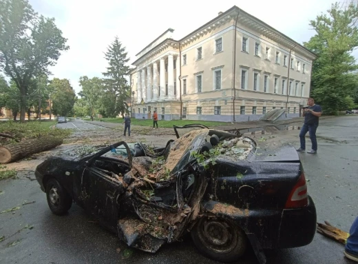 Негода у Чернігові: Дерево розтрощило авто фото