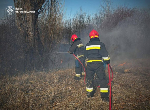 На Чернігівщині під час спалювання сухостою загинула жінка фото