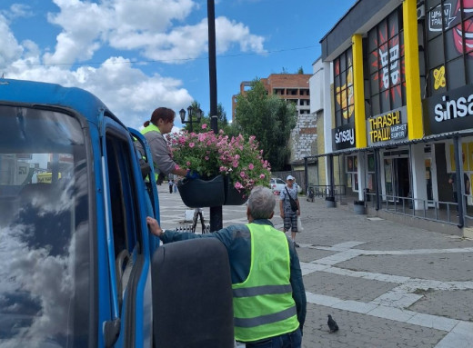 На Привокзальній площі у Славутичі облаштували вертикальне озеленення фото На Привокзальній площі у Славутичі облаштували вертикальне озеленення фото
