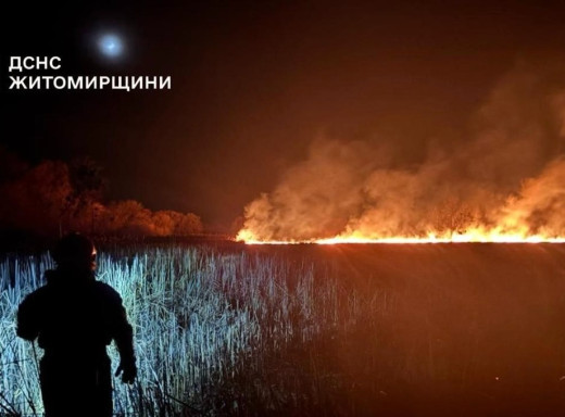 Масштабні пожежі в екосистемах України: понад 200 гектарів знищено за добу фото Масштабні пожежі в екосистемах України: понад 200 гектарів знищено за добу фото