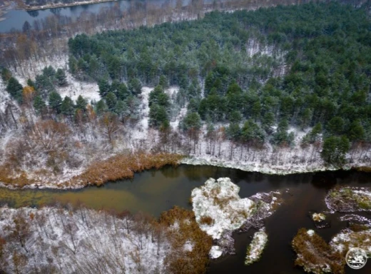 Співпраця для біорізноманіття: Чорнобильський заповідник уклав важливу угоду фото
