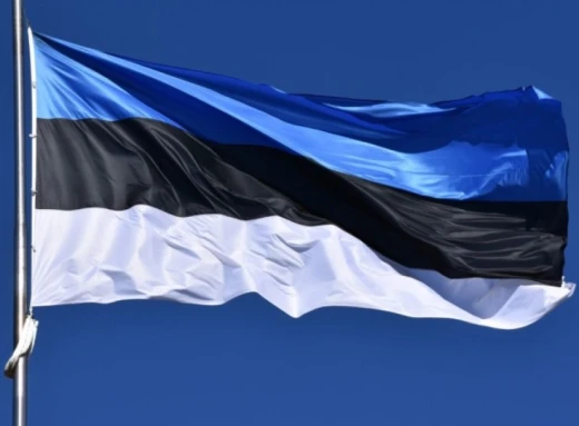 Мобілізація за кордоном: Естонія готова повернути в Україну військовозобов'язаних біженців фото