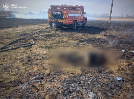 На Чернігівщині під час пожежі сухої трави знайшли тіло чоловіка фото