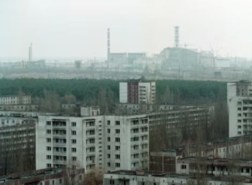 Чорнобильські землі частково придатні для сільського господарства, — The Independent фото Чорнобильські землі частково придатні для сільського господарства, — The Independent фото