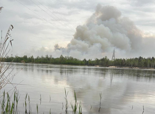 У Чорнобильському заповіднику пожежа охопила близько 1200 гектарів фото