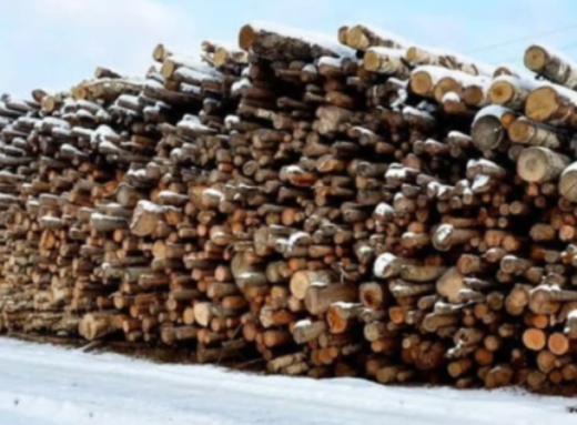 Як законно докупити дрова наприкінці зими і не переплатити фото