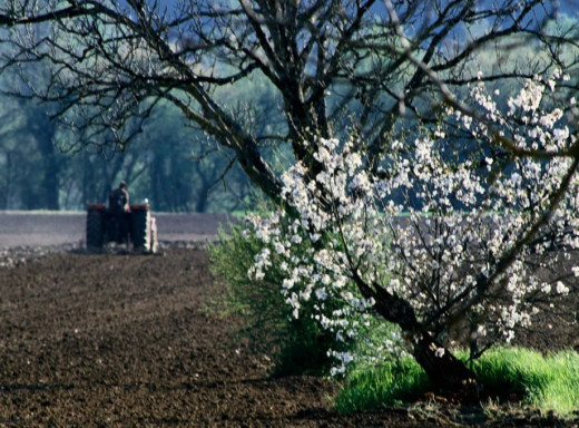 Угорщина просить ЄС скасувати мита на добрива з росії та Білорусі: що відомо фото