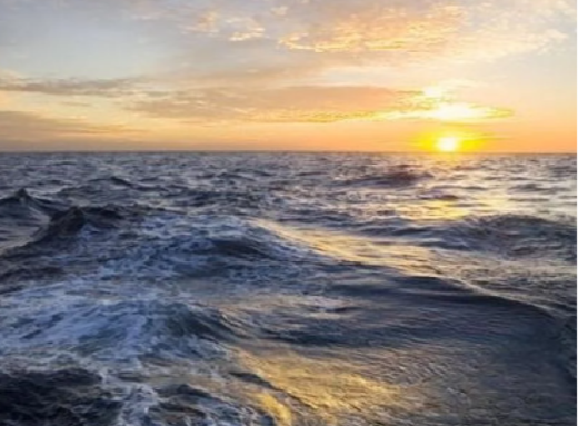 Смертельний вірус на круїзному лайнері: троє пасажирів загинули фото