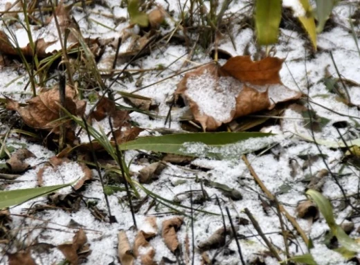 Перший сніг у Славутичі - Фоторепортаж від Вадима Івкіна фото