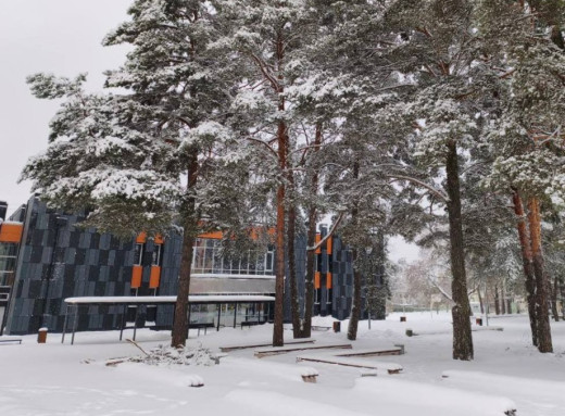 Курорт у соснах: туристичний центр Славутича показав, чим зайнятися взимку в місті фото