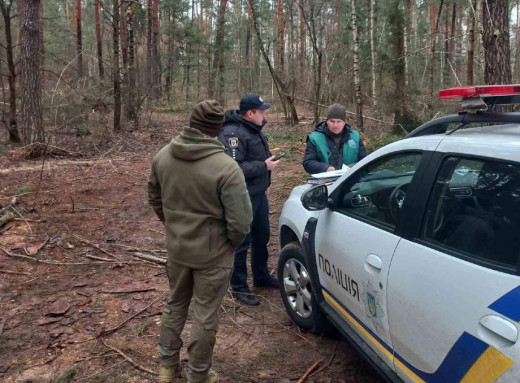 На Чернігівщині виявили незаконну вирубку лісу на понад 2,7 млн грн фото