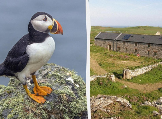 У Великій Британії шукають волонтерів для роботи на безлюдному острові фото