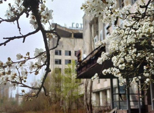 Прип'ять сьогодні: як місто зустрічає весну перед роковинами Чорнобиля фото