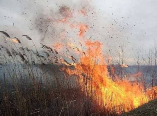 Неподалік Славутича тліє ліс — у місті відчутний дим фото Неподалік Славутича тліє ліс — у місті відчутний дим фото