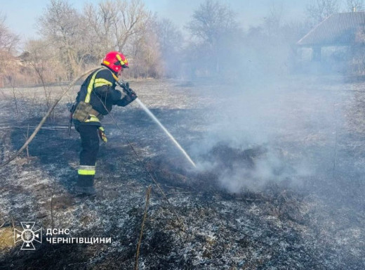 На Чернігівщині за добу сталося 44 пожежі в екосистемах фото