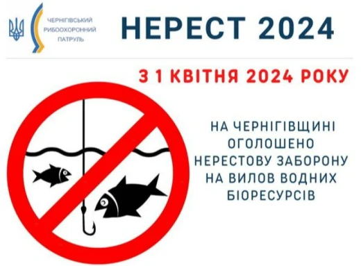 На Чернігівщині почне діяти нерестова заборона на вилов риби! фото
