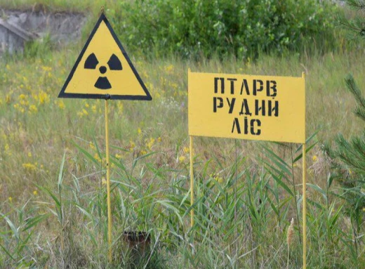 Чорнобильську зону перетворять на центр розвитку інновацій та науковий хаб фото