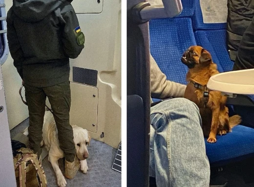 Розмір має значення? Військового не впустили у вагон потяга Укрзалізниці через собаку фото
